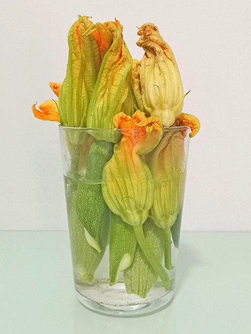 Flores de calabacín rellenas de brandada de bacalao - Flores de calabacín