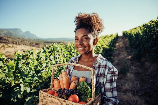 Guía para conseguir una alimentación sostenible - Verduras sostenibles